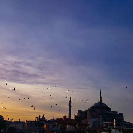 迈特拉酒店 酒店 3*