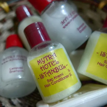 ホテル ミトラ イスタンブール